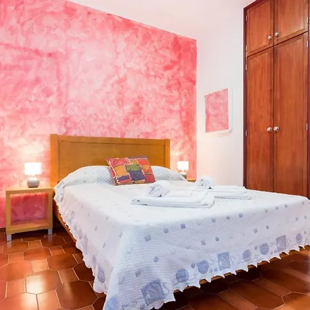 Seagull By Seewest *